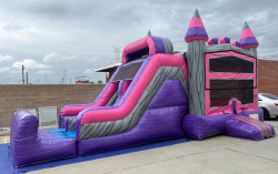 322738770 1297410907498232 8983574999568056984 n 1690166343 Pink Princess Castle
